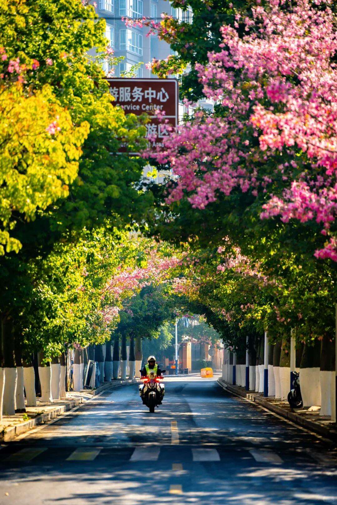 00000000MrTEeRSYNDWdLJmf 00000000MrTEeRSYNDWdLJmf