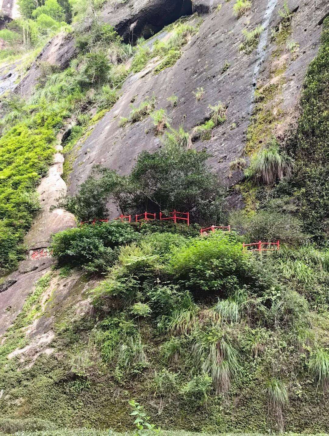 00000000NFwyyhhYMzwfRqWr-1