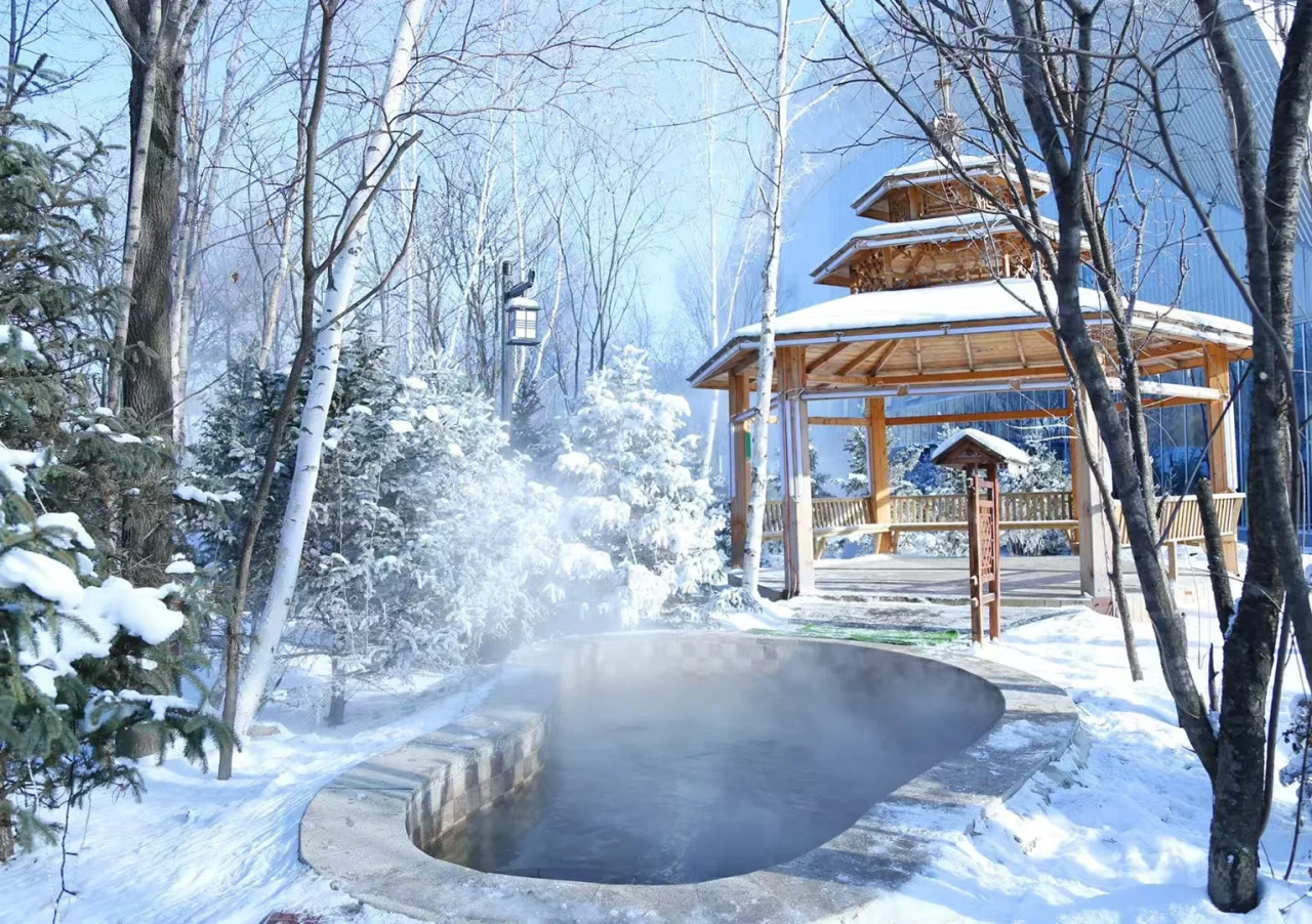 00000000NecApqENvpGronMC