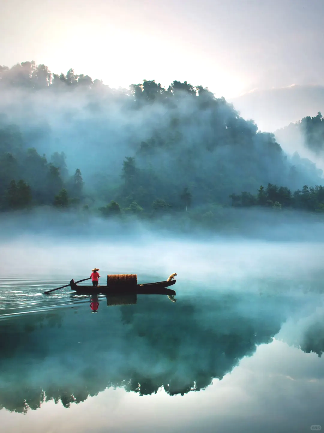 00000000NsWXysgxpQCfVuqR