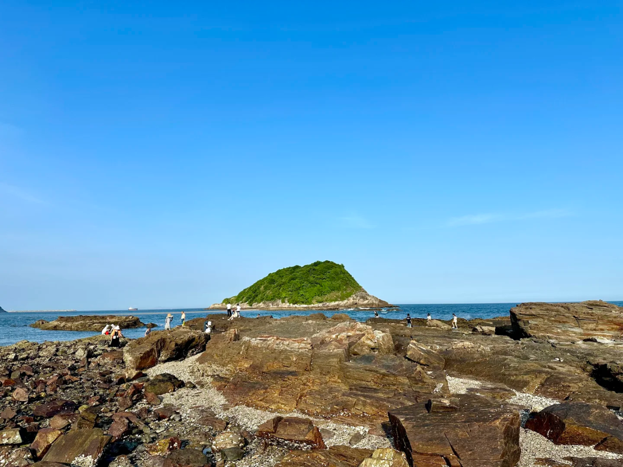 00000000OKDgJrndfPcWganc