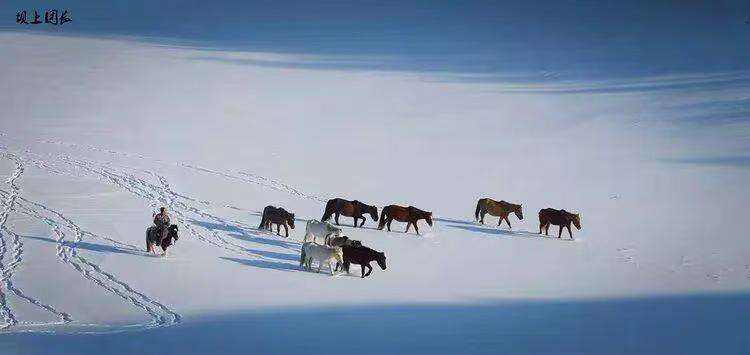 00000000OTwSZlRBLyLvNrMo