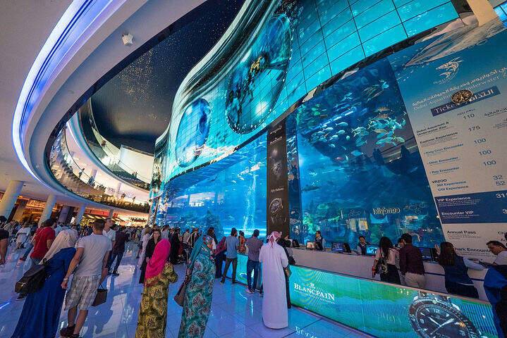 00000000OvDJEgHoTRvmAyOd 00000000OvDJEgHoTRvmAyOd