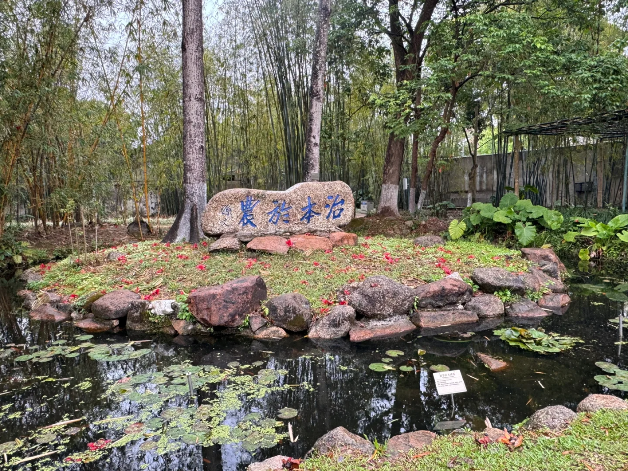 00000000POKiCoasmpIUsovm