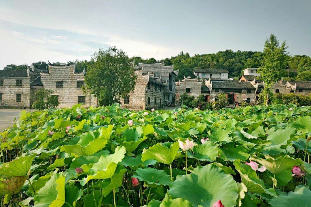 00000000QVKabVvSDprdSxZo