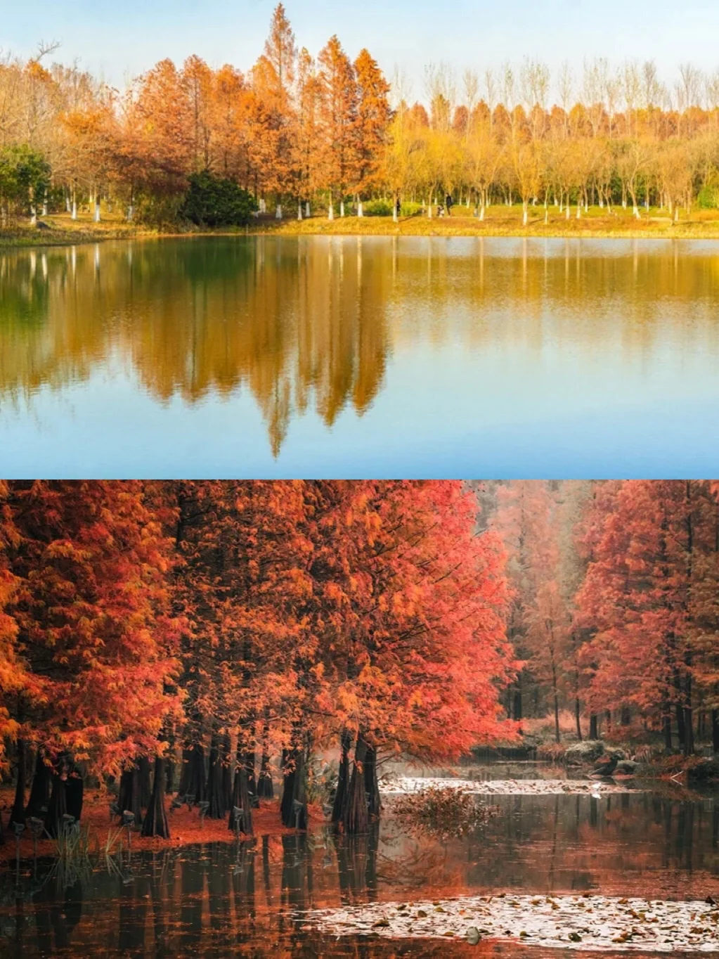 00000000QzZYgQKKCjjjMgwV