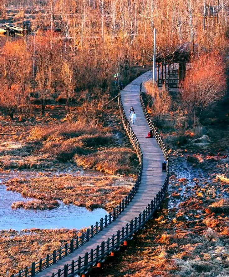 00000000RJqkFhtGuiupJwYX