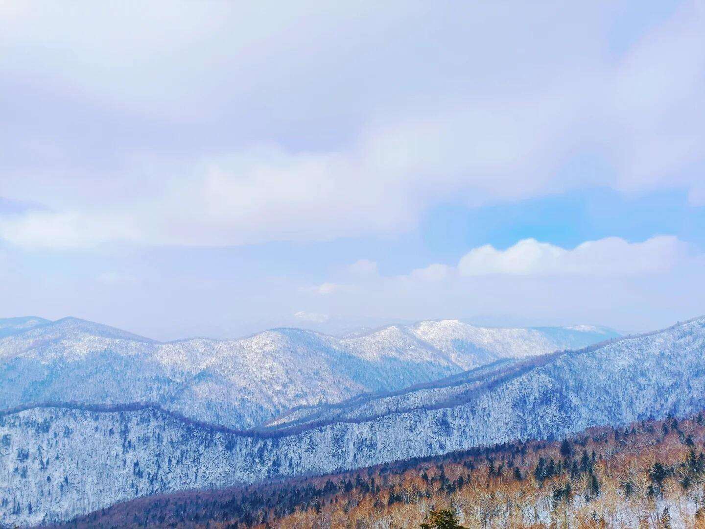 00000000RYyWWXGVnmnEznHN