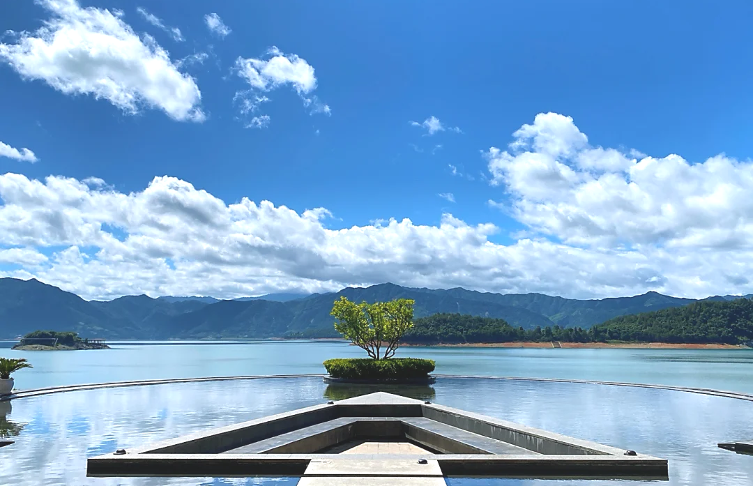 00000000ScEeeVyOwlqahwEi