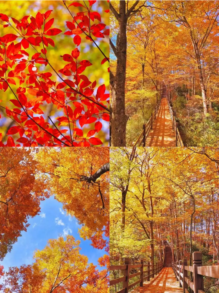 00000000TAccfwNgndoKJOSy 00000000TAccfwNgndoKJOSy