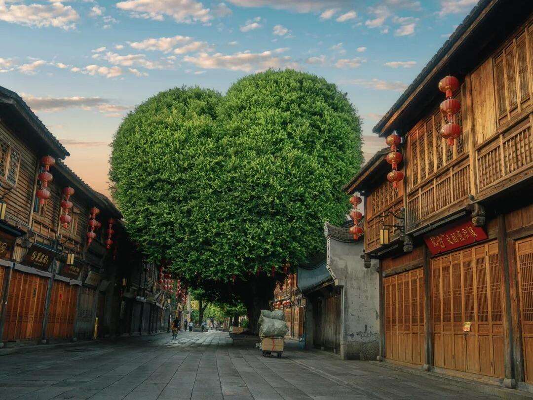 00000000TEDoShvysenqceUA-1