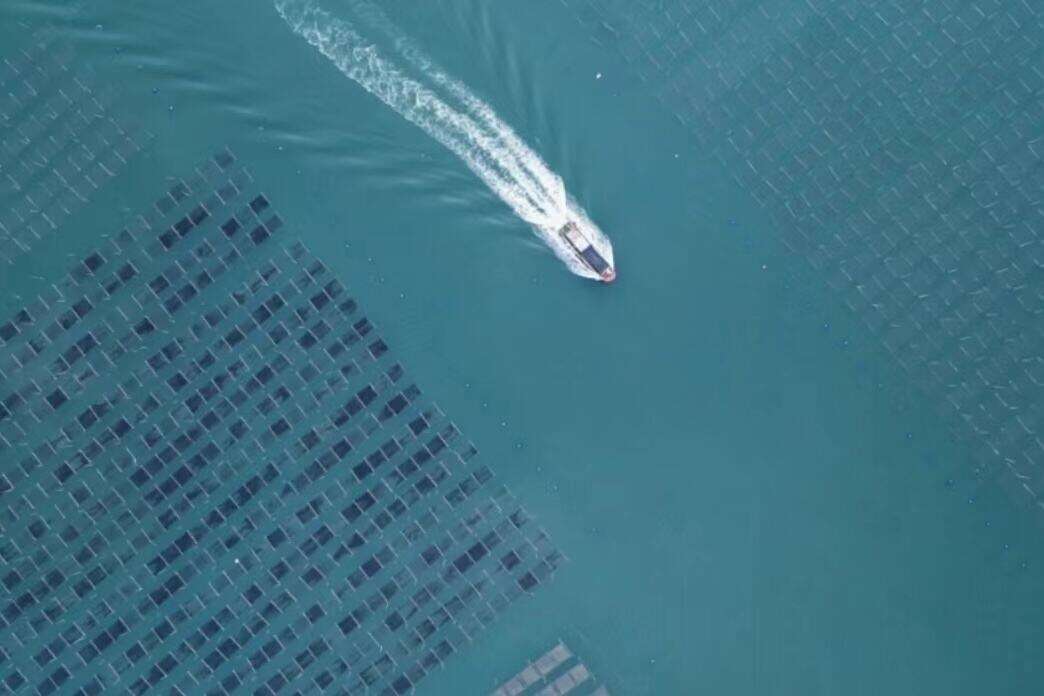 00000000TXiCWNLZWEpNTWVm