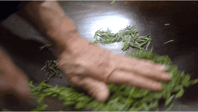 00000000TludwLWbOiifHzBr-1