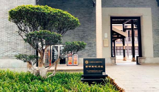 00000000TsAFMdZLVyqtDfae