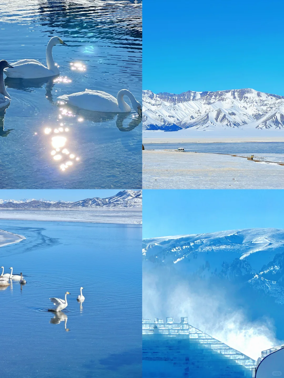 00000000TthWwwgKsDhBhZam