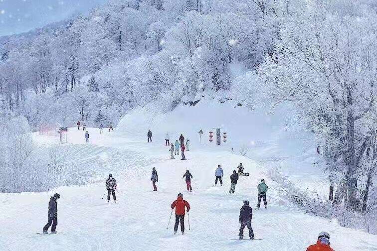 00000000UGUIPtYfgeaPNHim