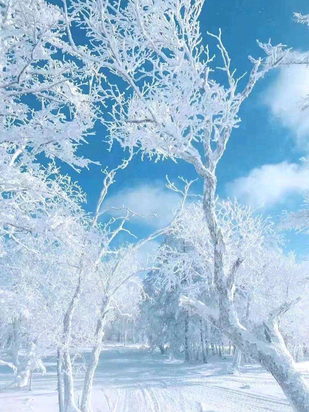 00000000UQuJWJQhabCiLawT 00000000UQuJWJQhabCiLawT