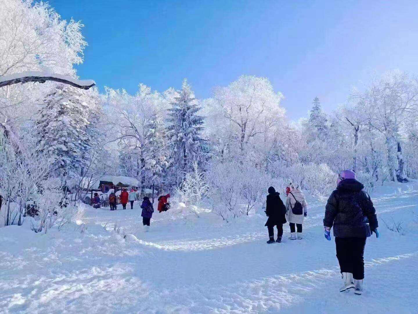 00000000UvimoLTZiDgqdHti