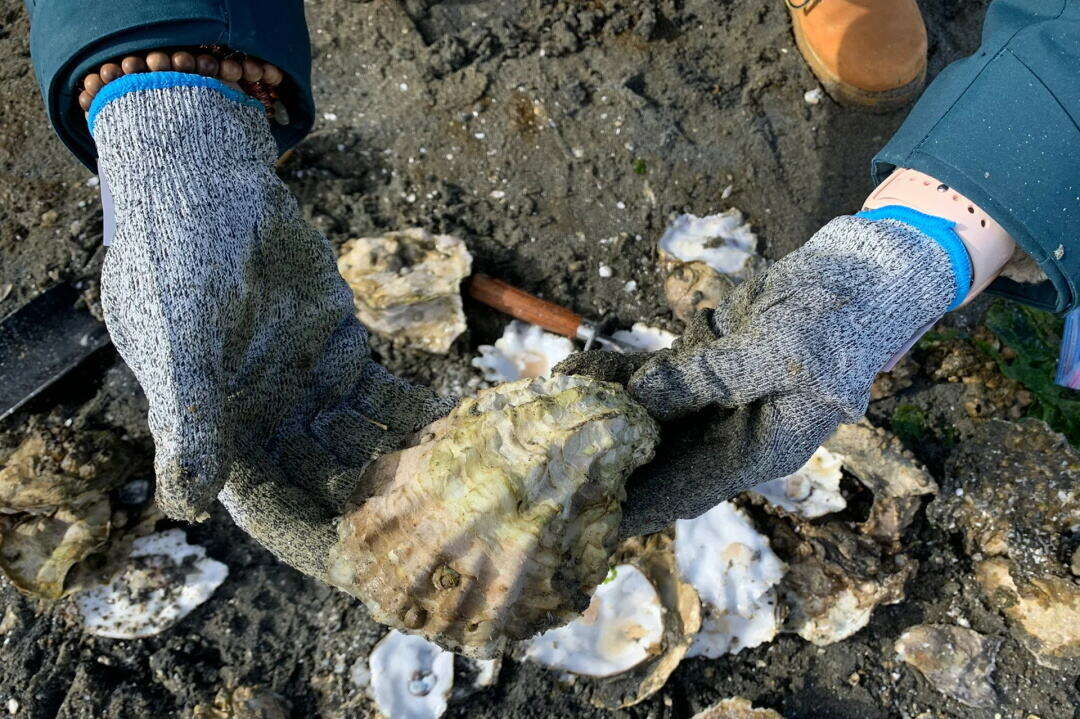 00000000VYIvvvotiFEEQvhg 00000000VYIvvvotiFEEQvhg