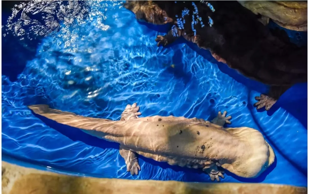 00000000VgkxxGcFUnlJsNqM