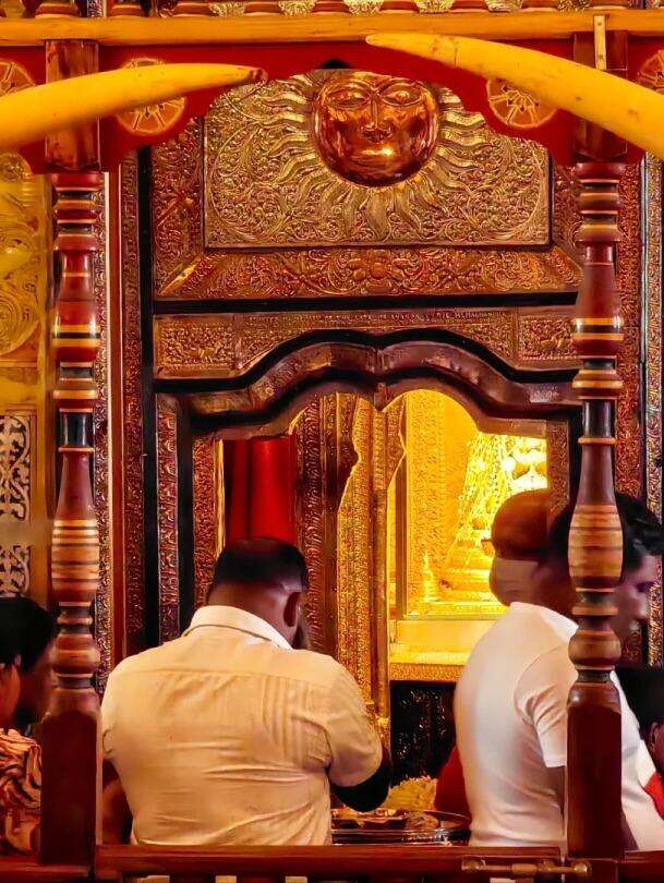 00000000WPeaGWokFoKsFzgb 00000000WPeaGWokFoKsFzgb