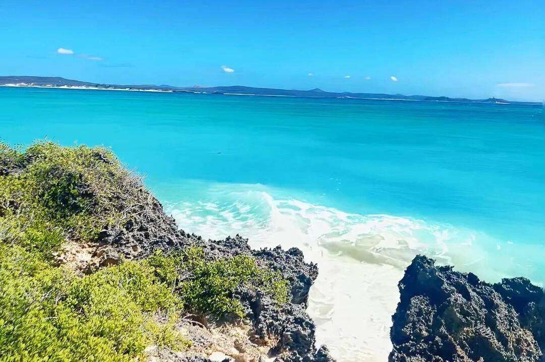 00000000WQPNEHBRprmXMfeL 00000000WQPNEHBRprmXMfeL