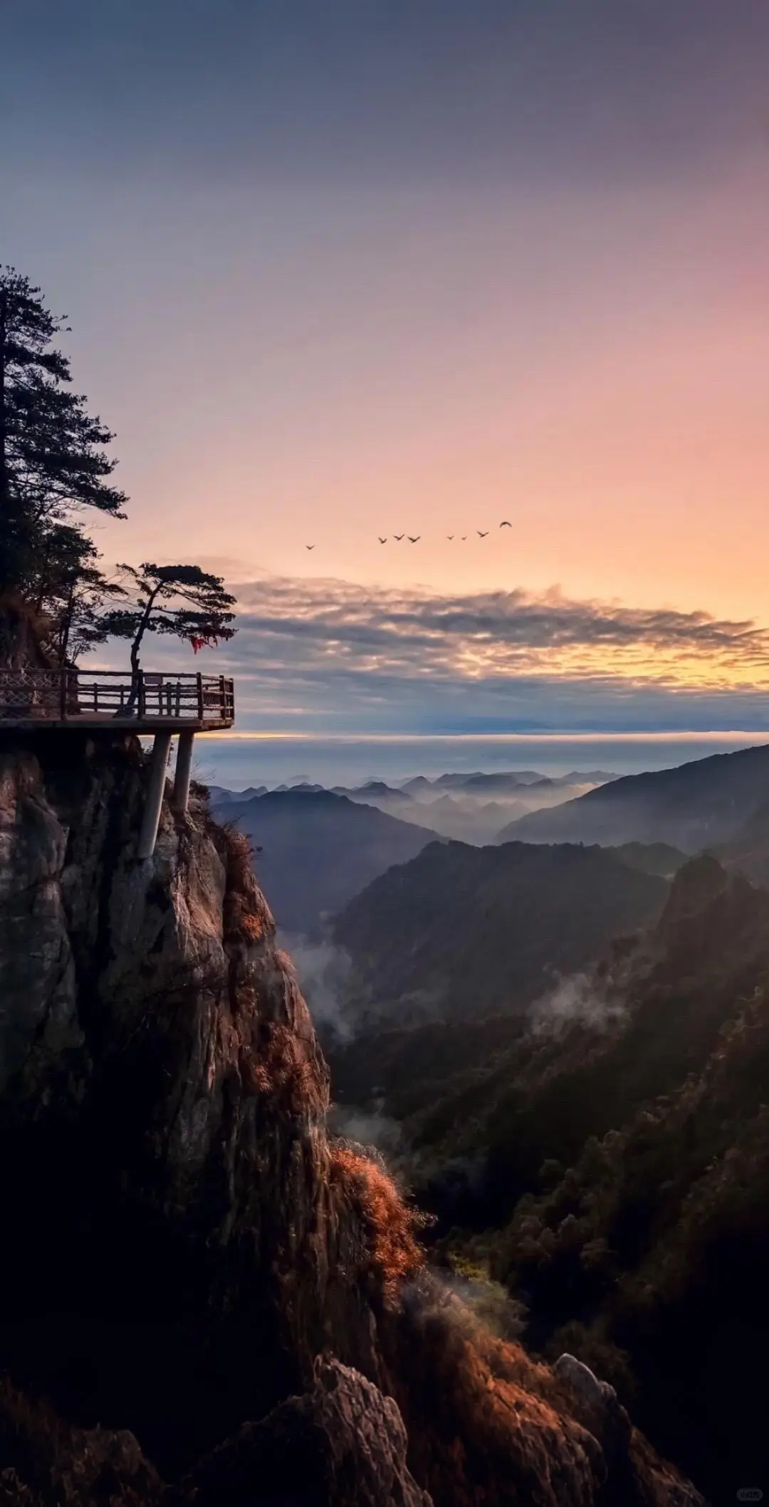 00000000WTuEuJUyeAQhjbIr