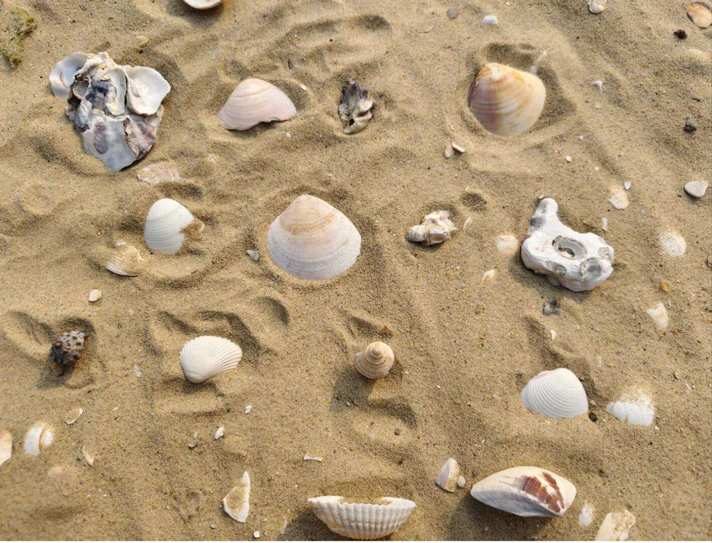 00000000WdKxPtEpEBnNgcOJ-1 00000000WdKxPtEpEBnNgcOJ-1