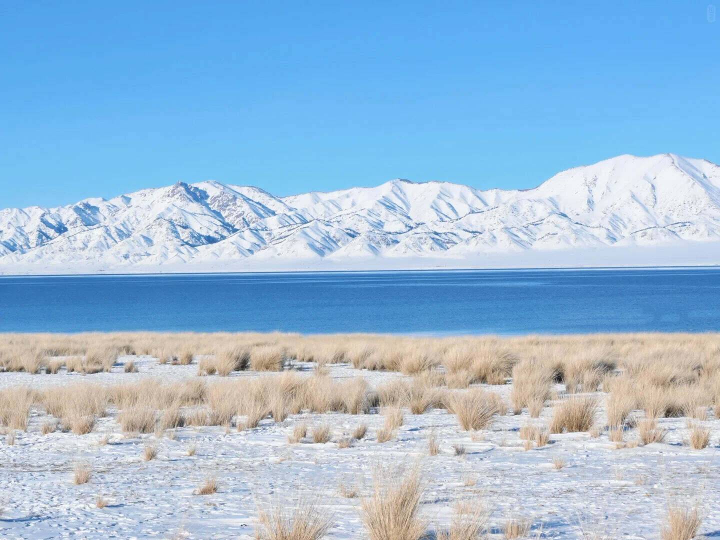 00000000XCGIaBfngStsDQDY