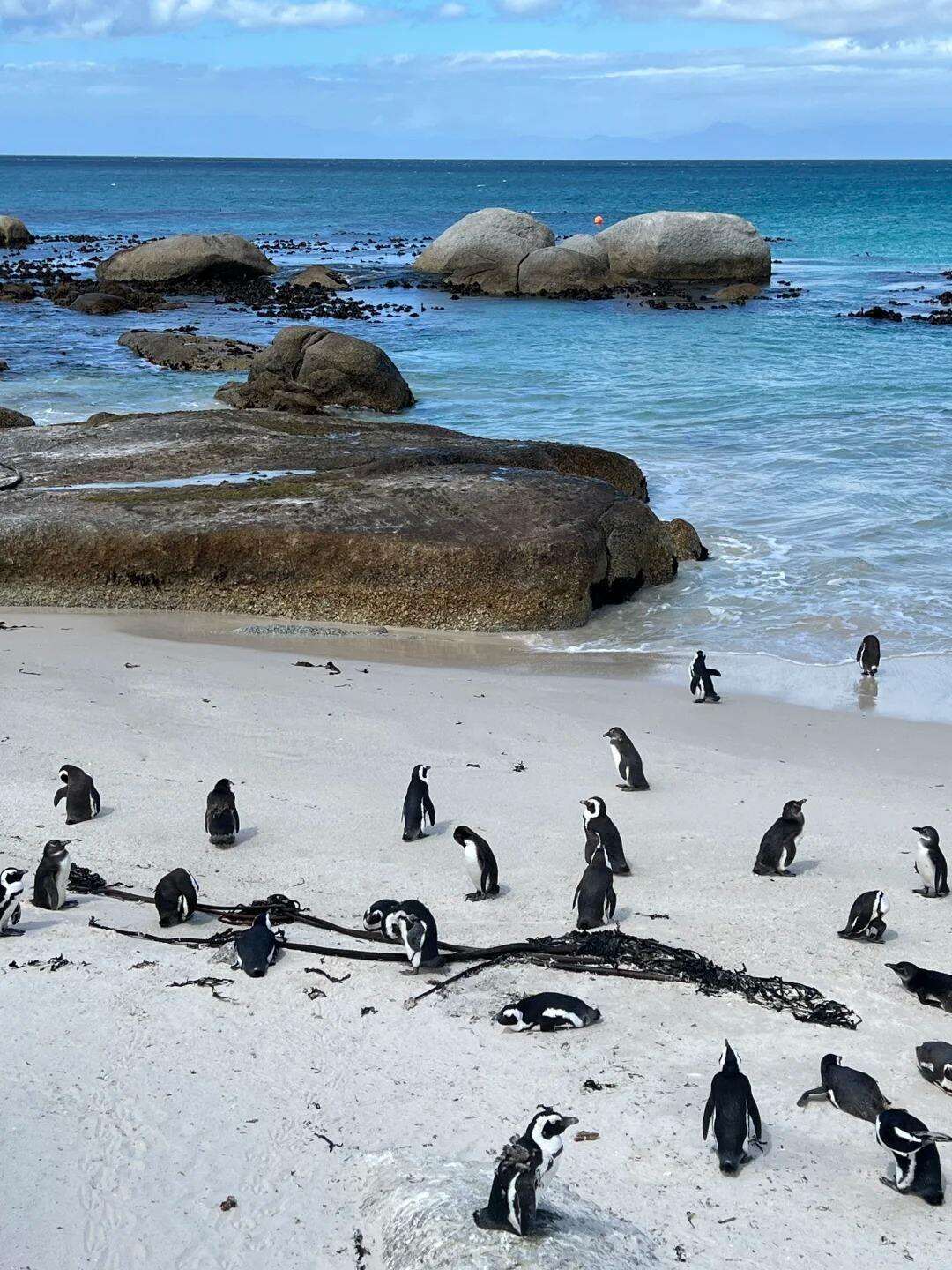 00000000XHLOWEOIOoNgLVzH 00000000XHLOWEOIOoNgLVzH