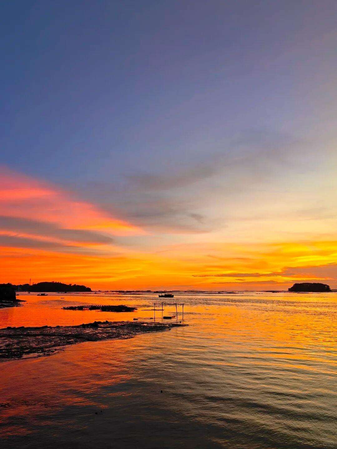 00000000XRCcxhewNhnaixMW