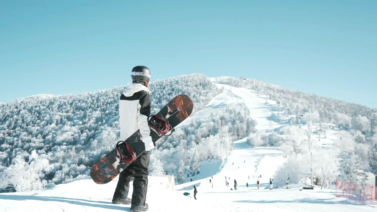 00000000XYysGdSpTAOgrppS