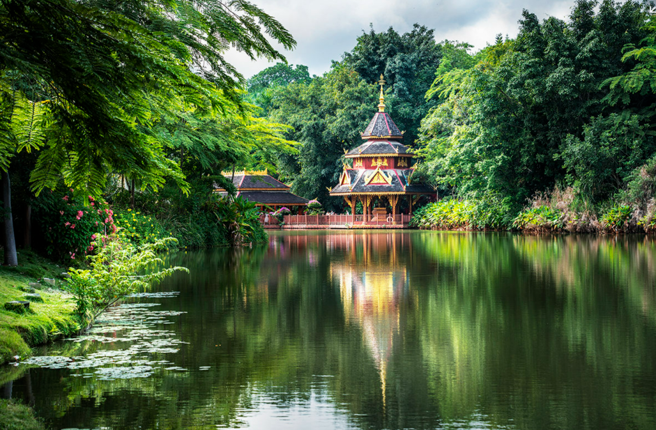 00000000XoogyJSTfwSrcJEf