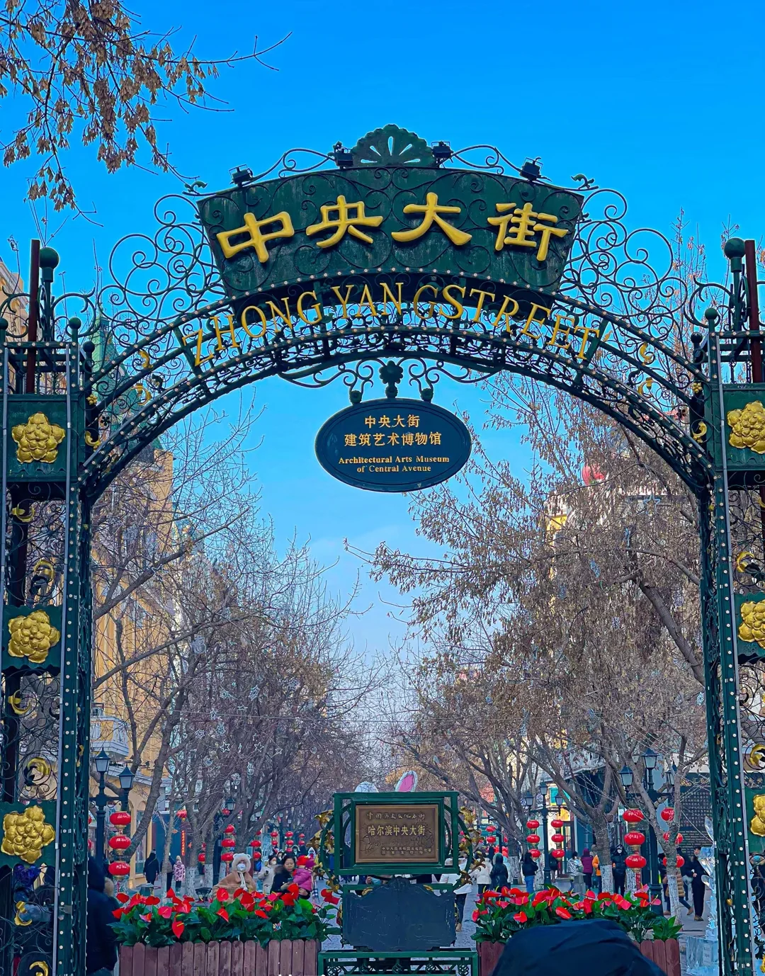 00000000YLsQefFCbFmCgWWI