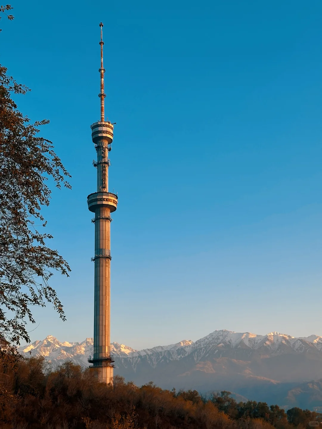 00000000YSpWTfXtxsYpqSMP