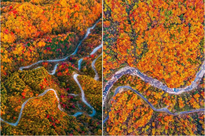 金秋爆款 【巴渝盛宴-秋摄渝东南山水游】亚洲红叶限量版光雾山双动5日游