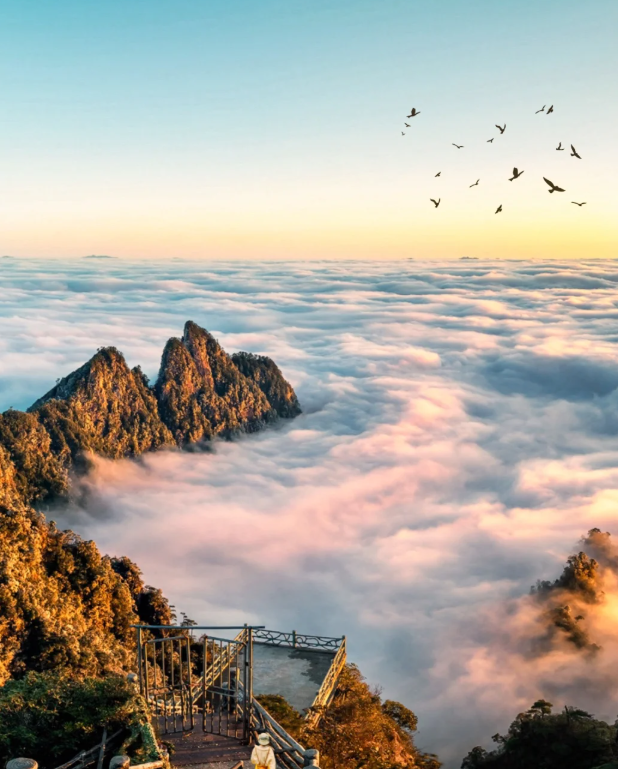 00000000ZXTchgvVffBDvFoS