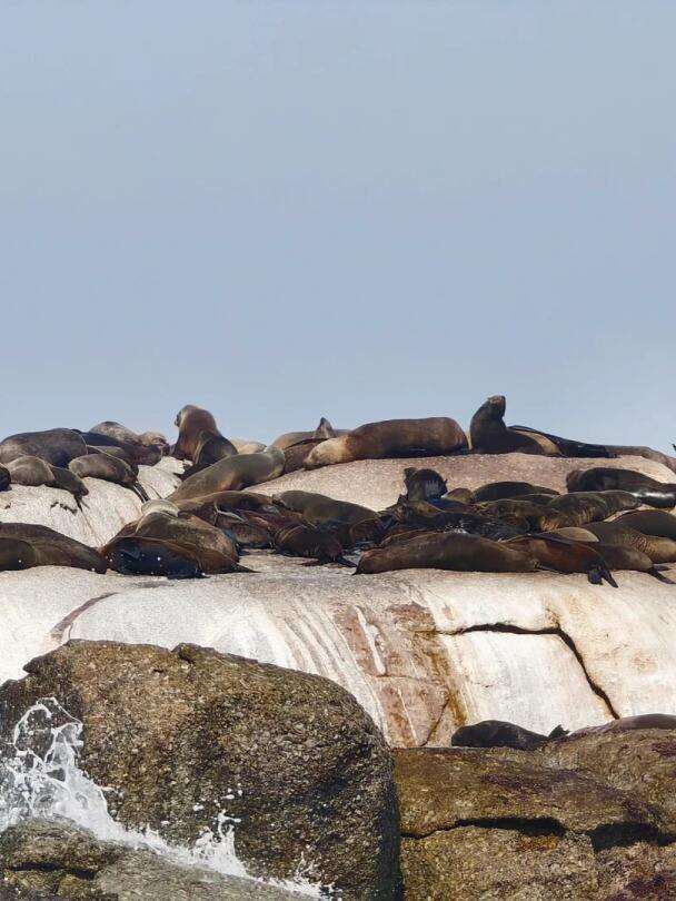 00000000ZckZdPRrSysbUyTo 00000000ZckZdPRrSysbUyTo