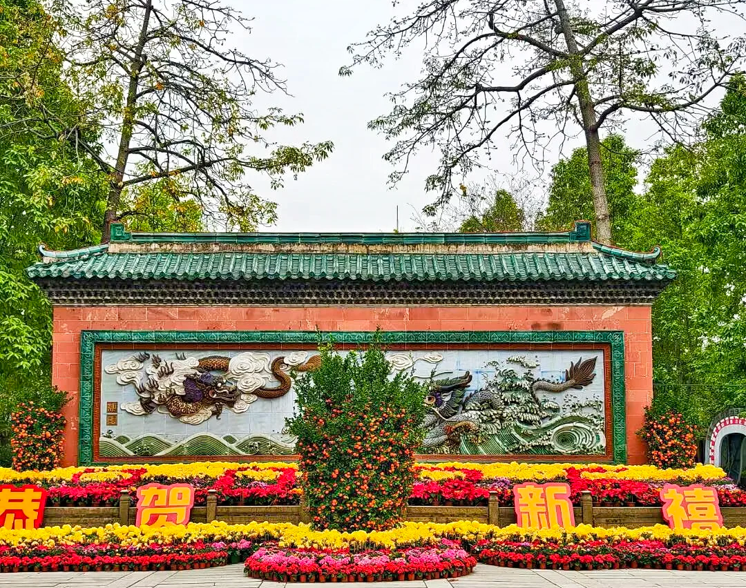 00000000ZgVmBRonVHHqroQp