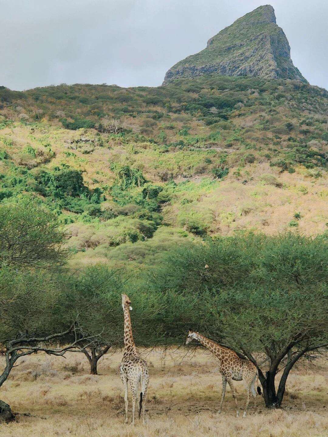 00000000aHsXCFLELcwOfTzS 00000000aHsXCFLELcwOfTzS