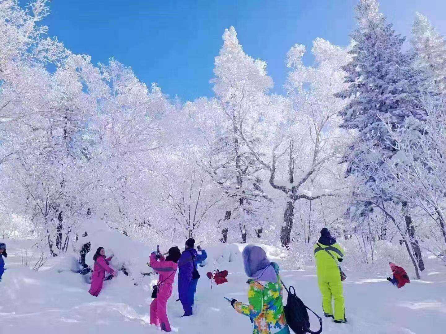 00000000aYIJPOJMUgDkVYmE