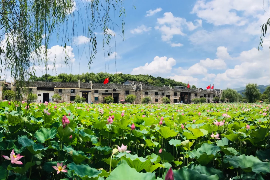 00000000aZCKXCOwHnkRWolx