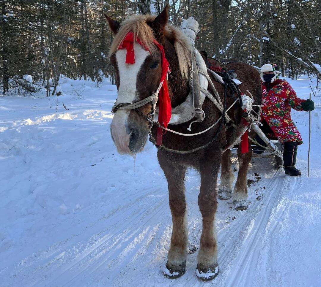 00000000aivDFQKvdmyxgAQU