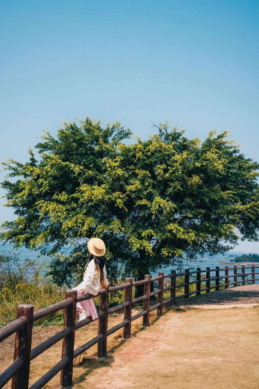 00000000aljLVwAEdtbxllcp