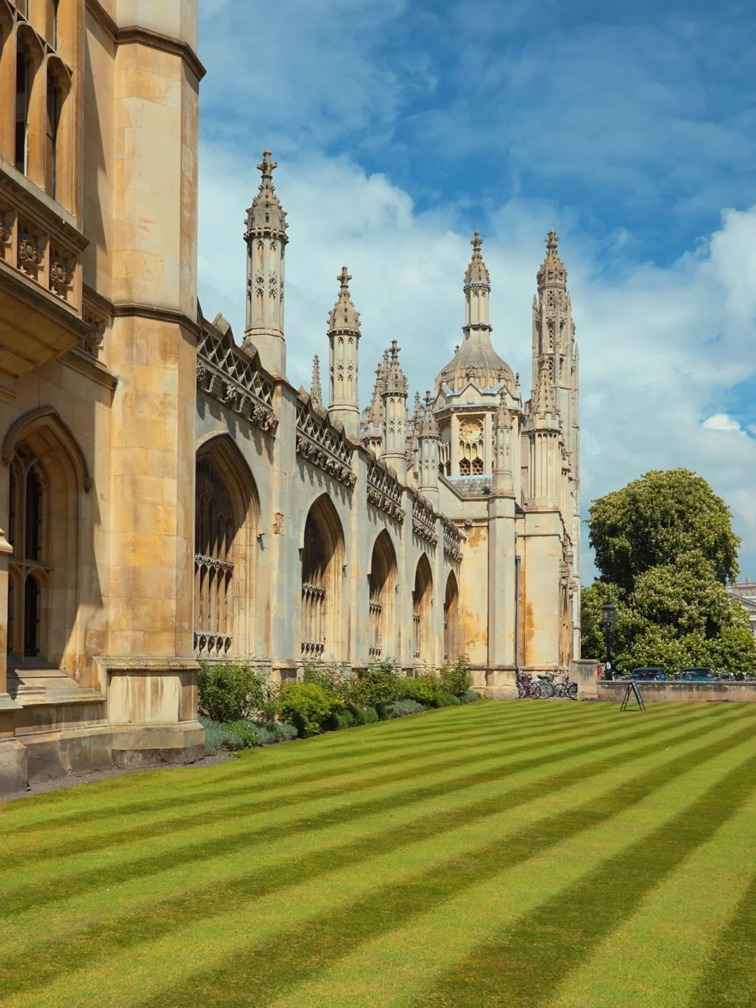 00000000bJecLatxjBcNhsoM