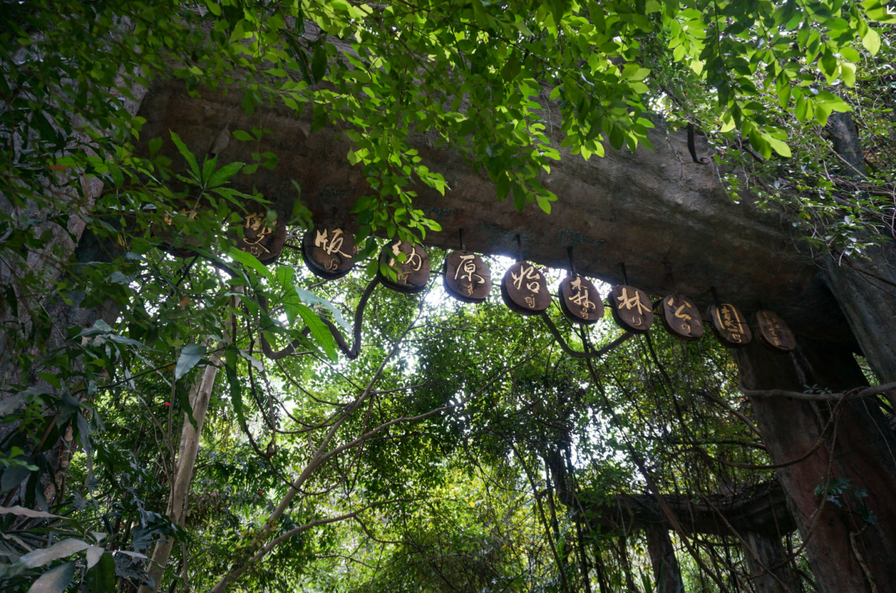 00000000bQFQZFWcNXJJfkDb