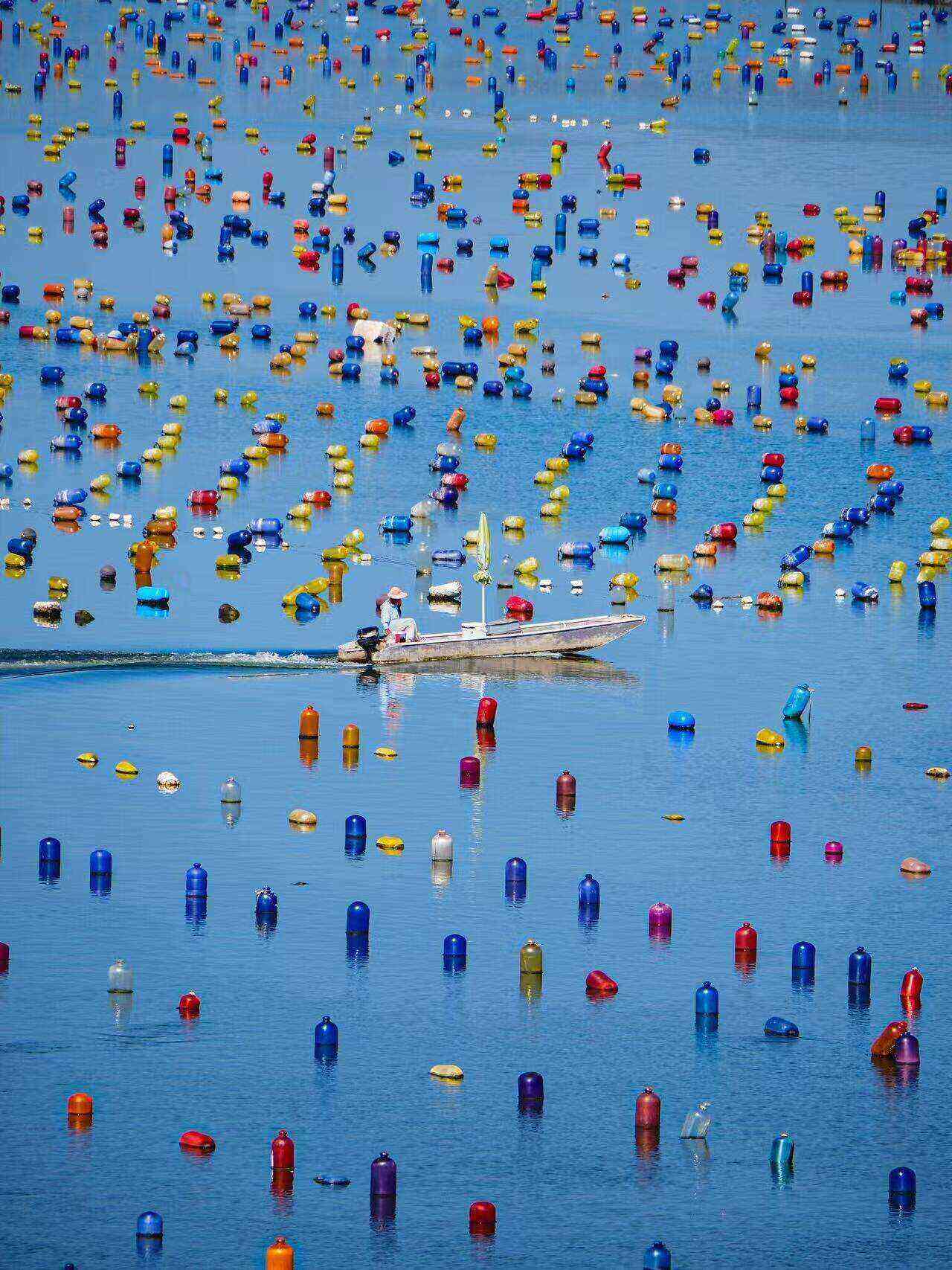 00000000bVYIcPaLdVmlEgCD