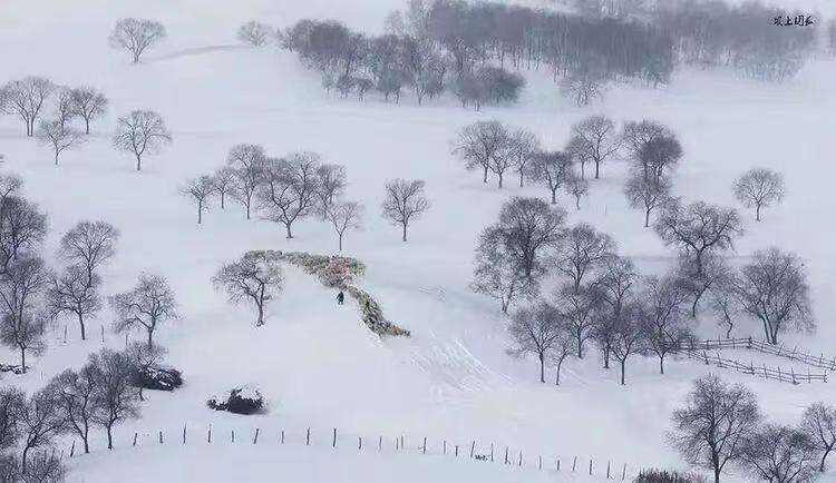 00000000boMIuEyfOIjxylFX