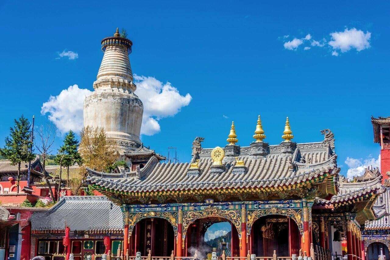 00000000cSpGQkdqaHfwlsZi 00000000cSpGQkdqaHfwlsZi