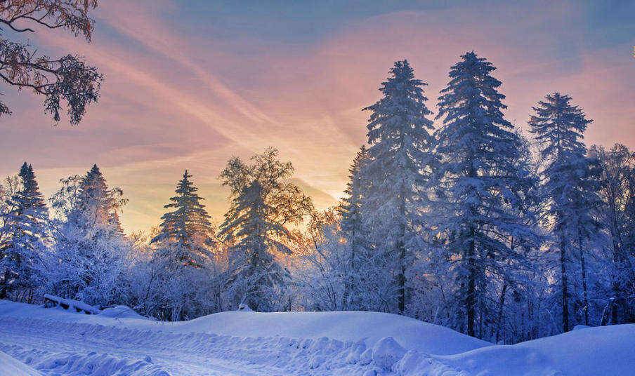 【雪域漠河归来，大国圆梦冰雪之旅】4899起限定班期1月4日，全程0自费无压力追极光，住2N4钻+1N3钻+1N5钻+1N雪乡暖炕 ，一次打卡吉林雾凇/童话雪乡/哈尔滨/漠河/北极村/圣诞村